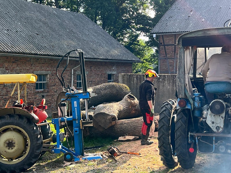 Holzmachen